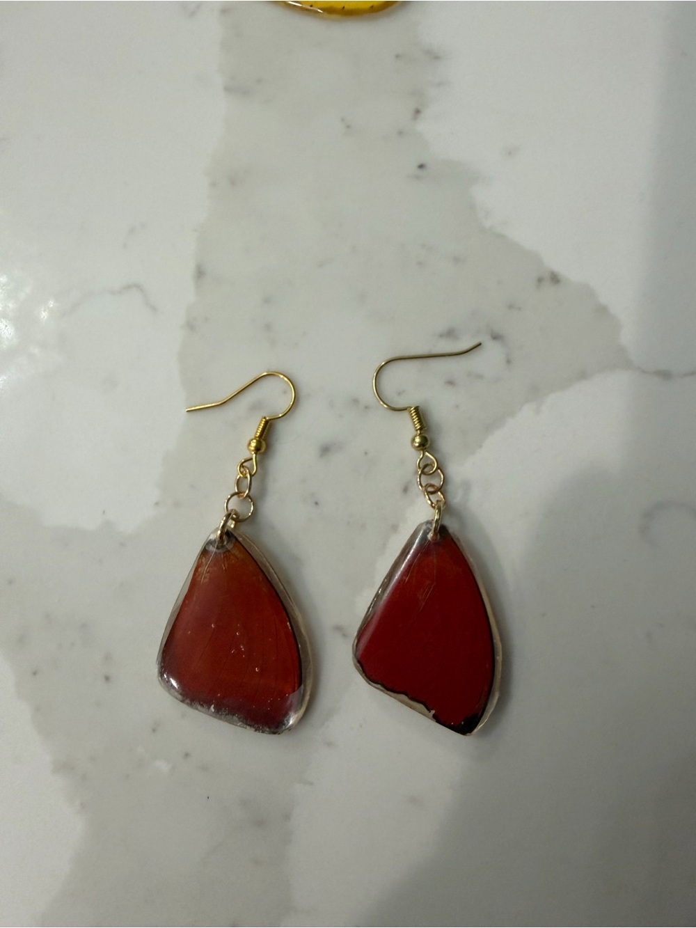 Real Cymothoe Hobarti Butterfly Earrings.